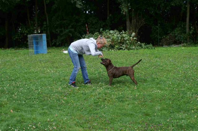 obeissance 2014-08-02